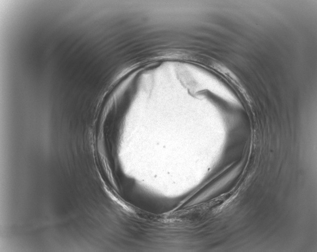 X0000067851433200605041704