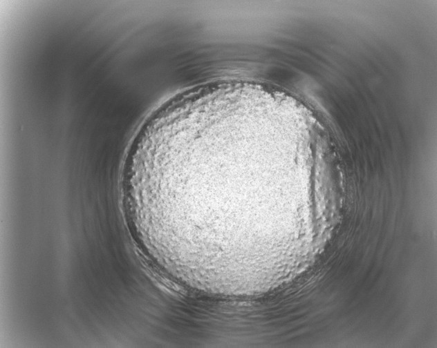 X0000067851435200605041704