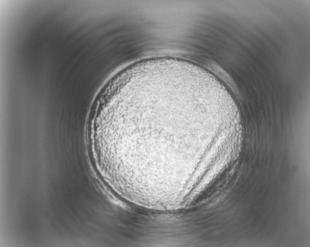 X0000067851436200605041704