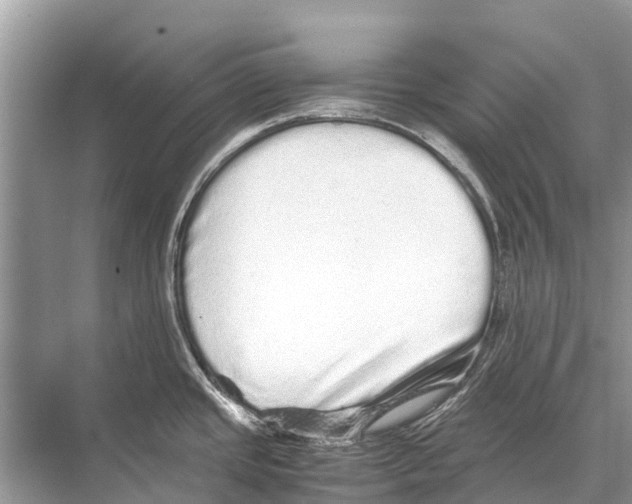 X0000067851437200605041704