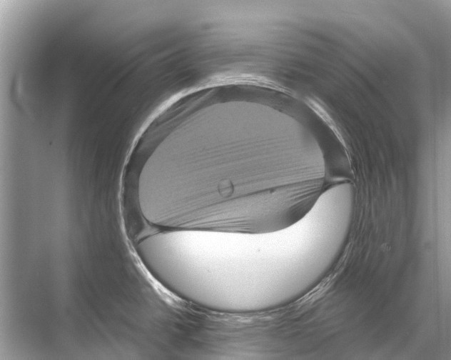 X0000067851438200605041704