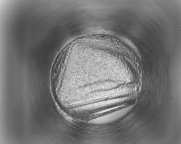 X0000067851439200605041704