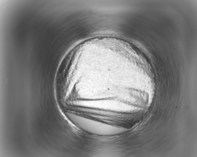 X0000067851440200605041704