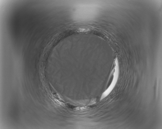 X0000067851441200605041703