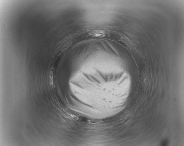 X0000067851442200605041703