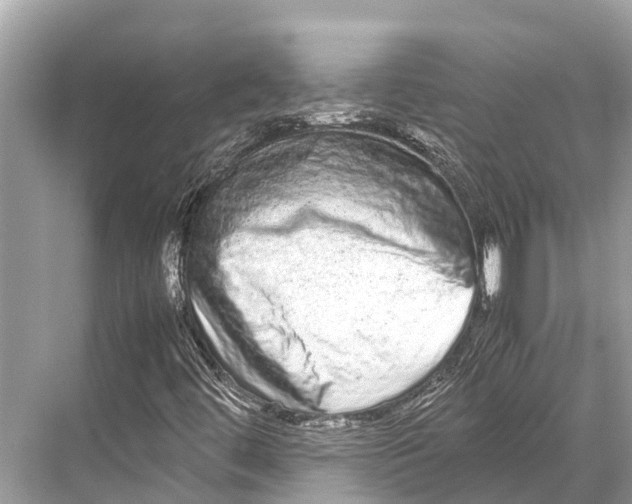 X0000067851444200605041703