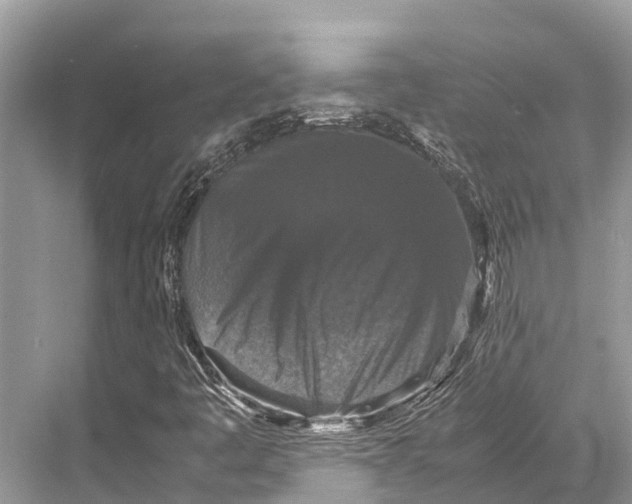 X0000067851445200605041703