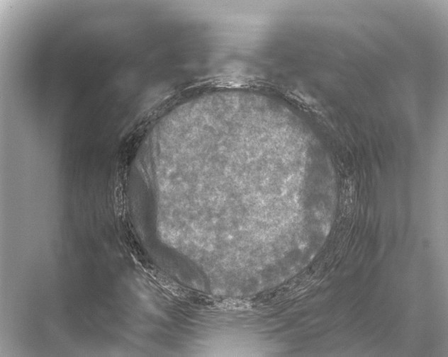 X0000067851446200605041703