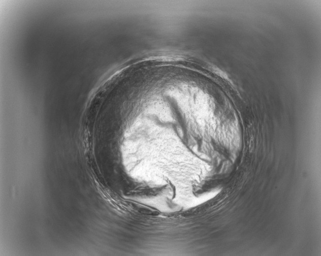 X0000067851448200605041703