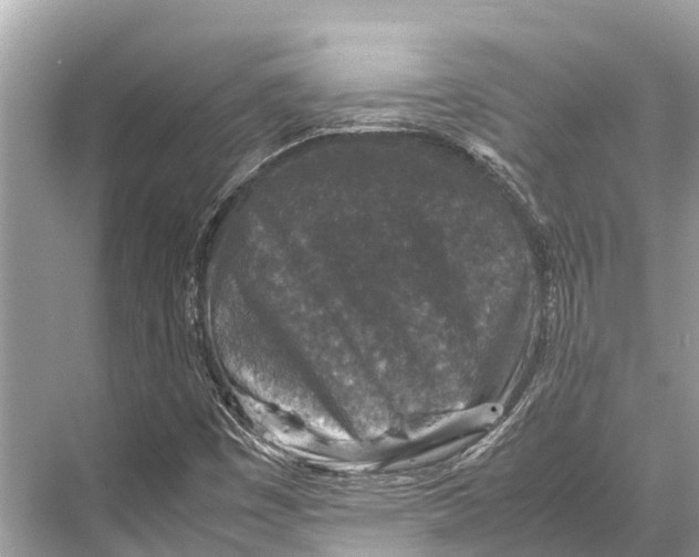 X0000067851449200605041703