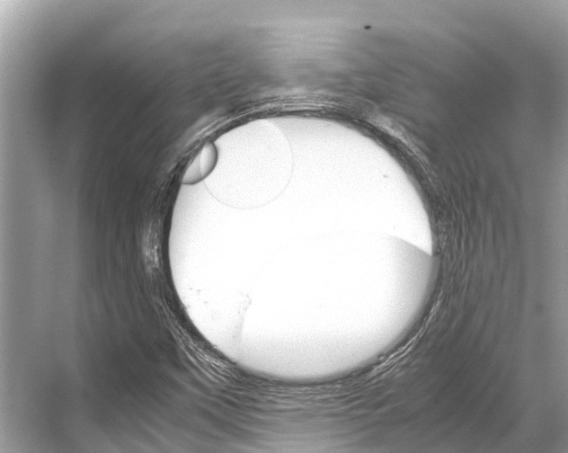 X0000067851451200605041703