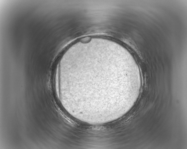 X0000067851452200605041703