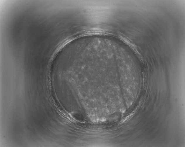 X0000067851453200605041703