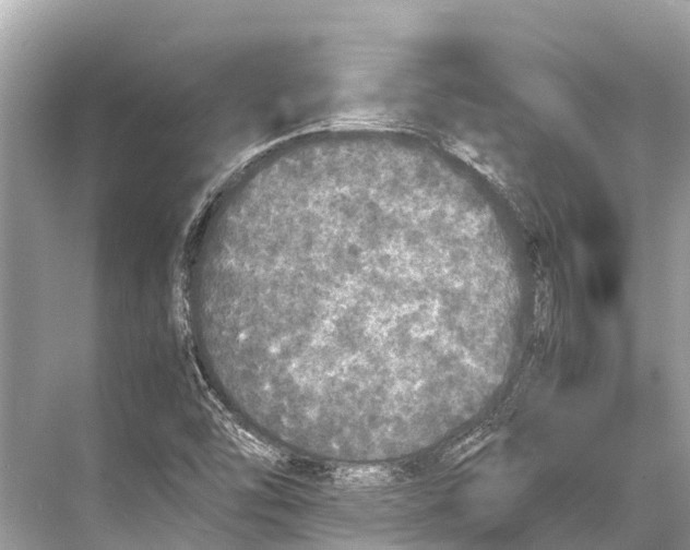 X0000067851454200605041703