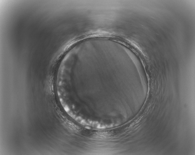 X0000067851455200605041703