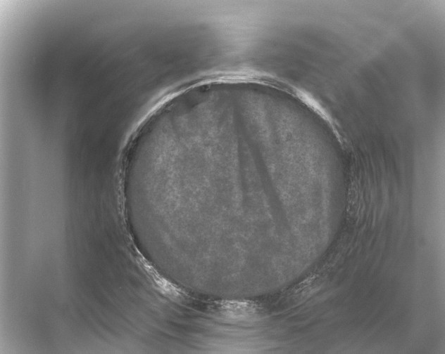 X0000067851456200605041703