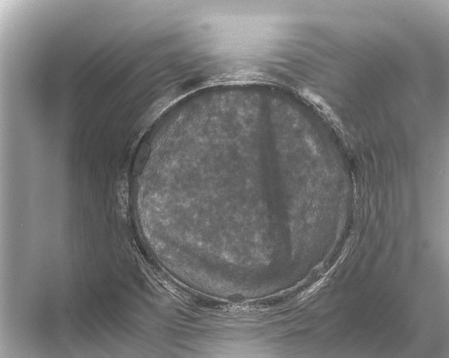 X0000067851457200605041703