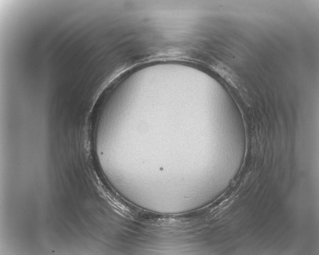 X0000067851458200605041703