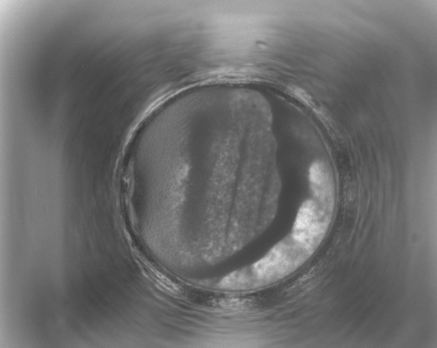 X0000067851459200605041703