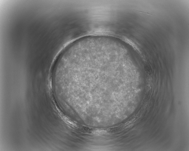 X0000067851462200605041703