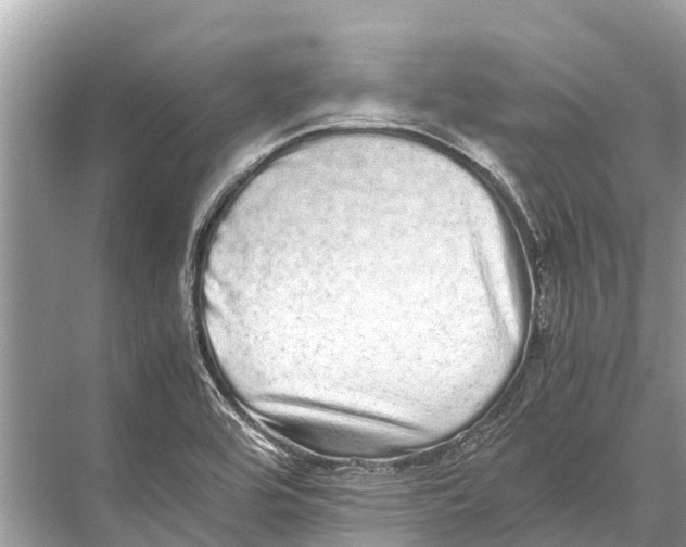 X0000067851464200605041703