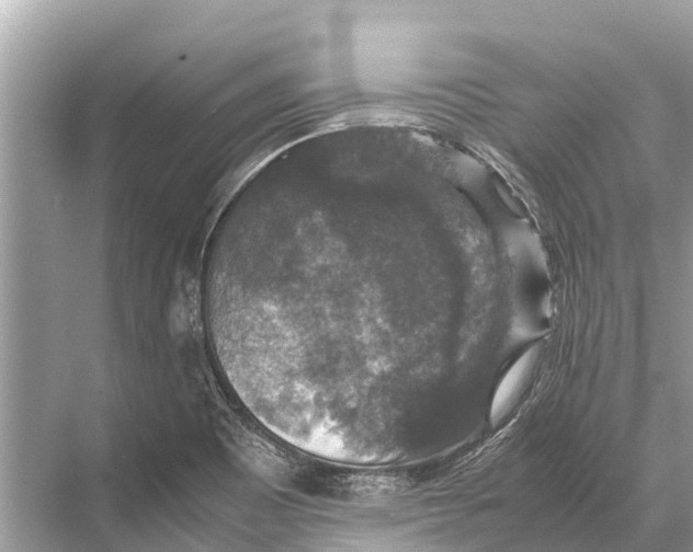 X0000067851465200605041703