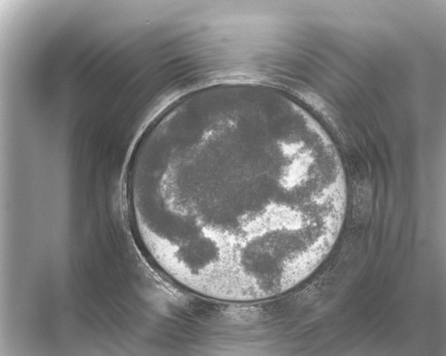 X0000067851466200605041702