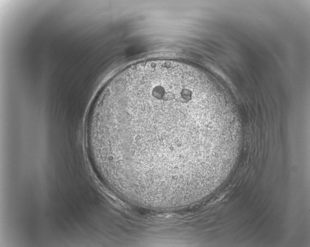 X0000067851467200605041702