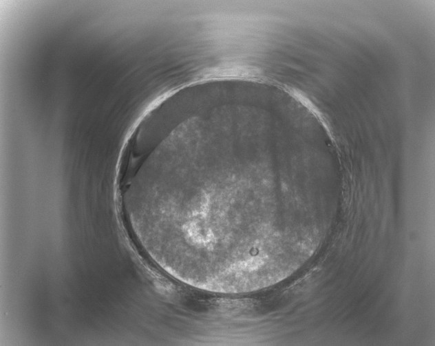 X0000067851469200605041702