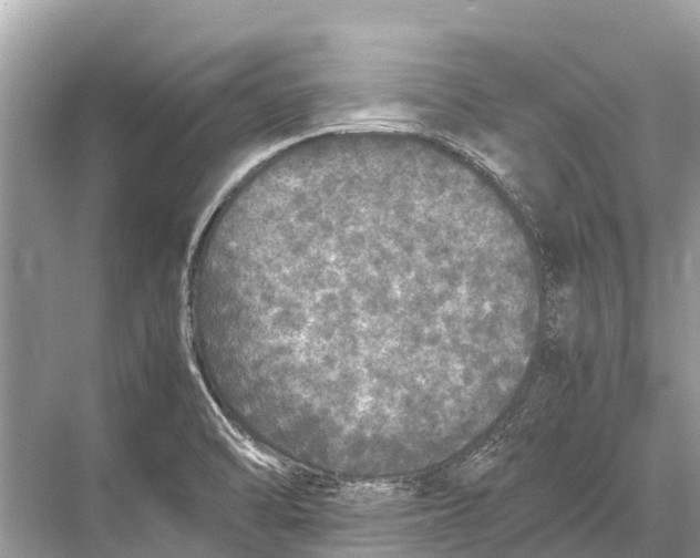 X0000067851470200605041702