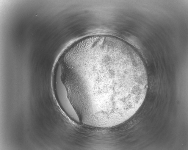 X0000067851472200605041702