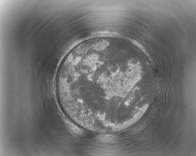 X0000067851474200605041702