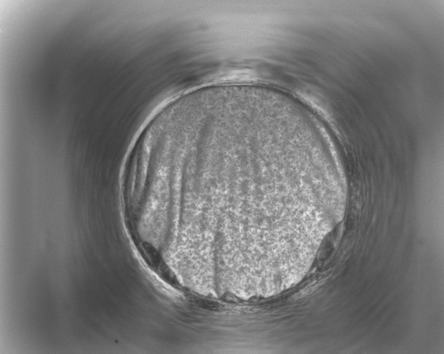 X0000067851475200605041702