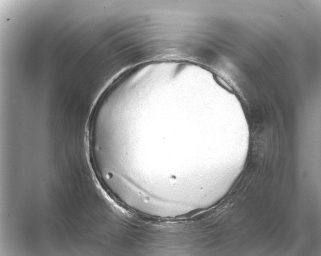 X0000067851476200605041702