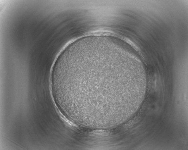 X0000067851478200605041702