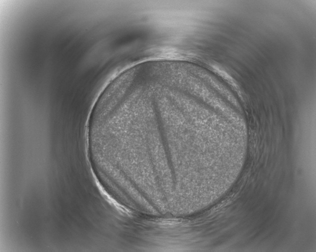 X0000067851479200605041702