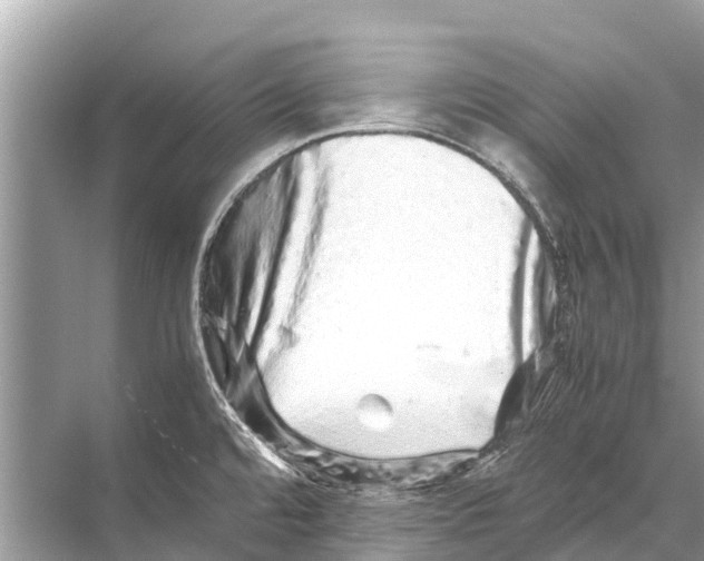 X0000067851480200605041702