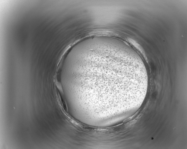 X0000067851481200605041702