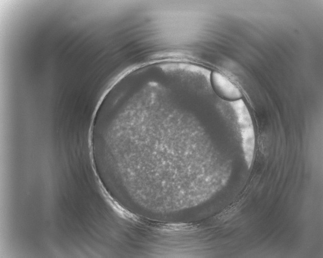 X0000067851482200605041702