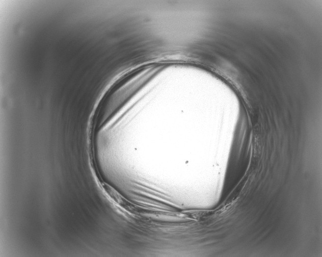 X0000067851483200605041702