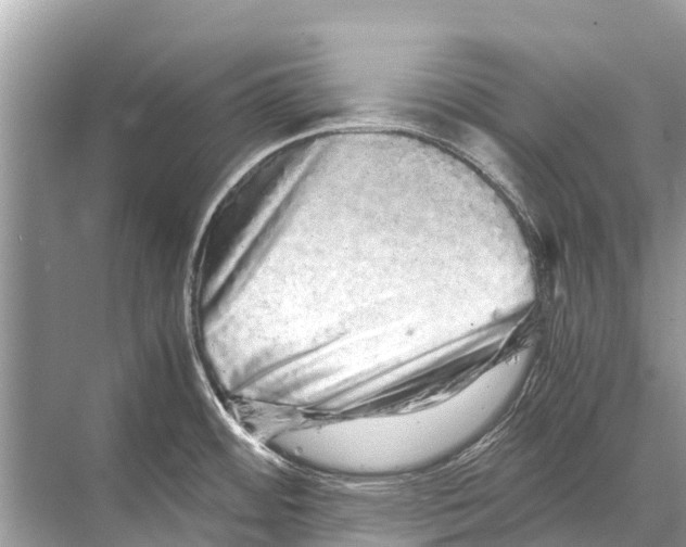 X0000067851484200605041702