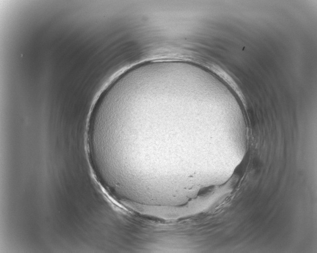 X0000067851485200605041702