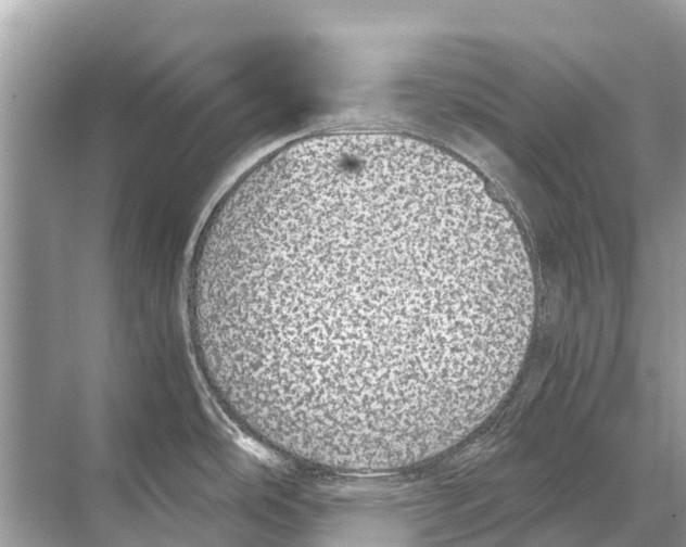 X0000067851486200605041702