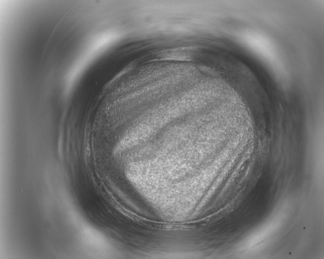 X0000067851487200605041702