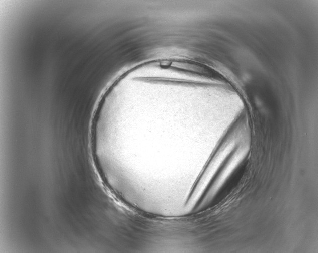 X0000067851488200605041702