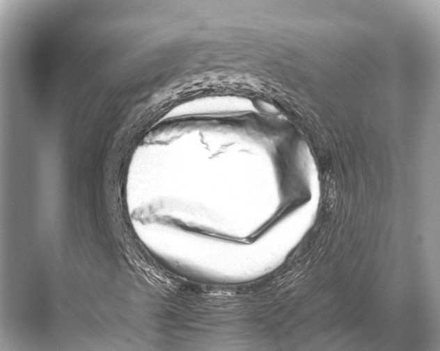 X0000067851489200605041701