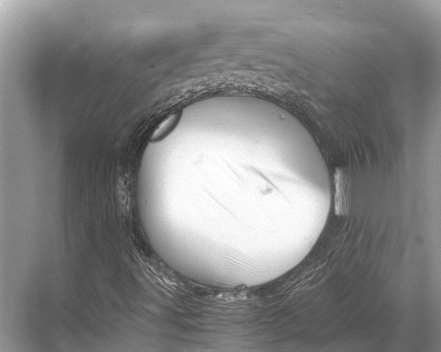 X0000067851491200605041701