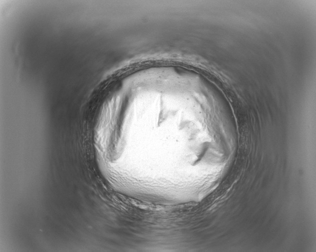 X0000067851494200605041701