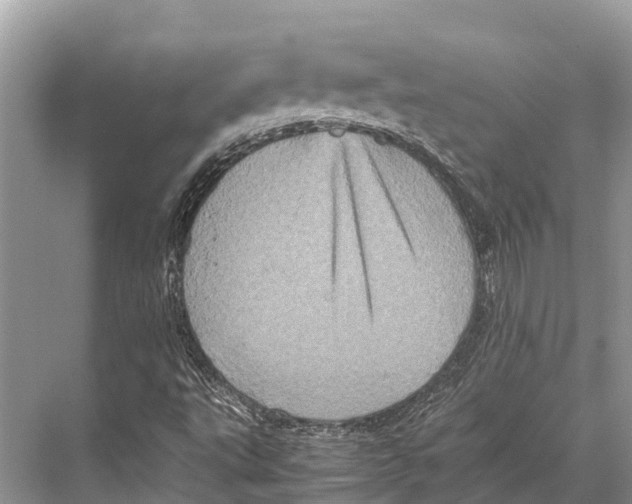 X0000067851495200605041701