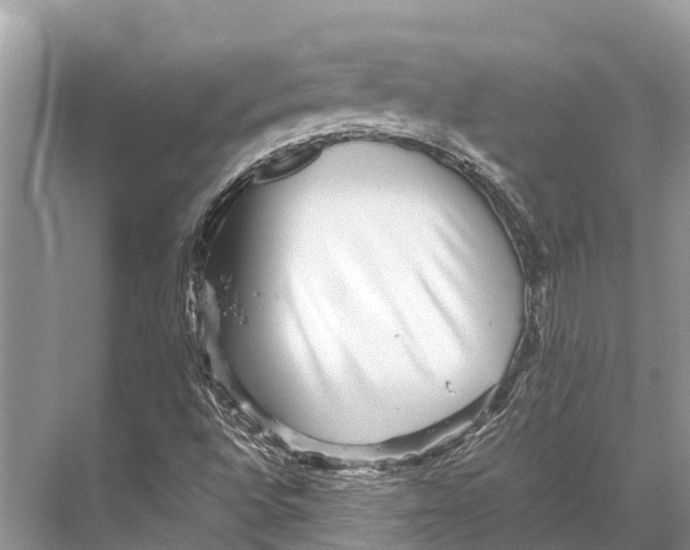 X0000067851496200605041701